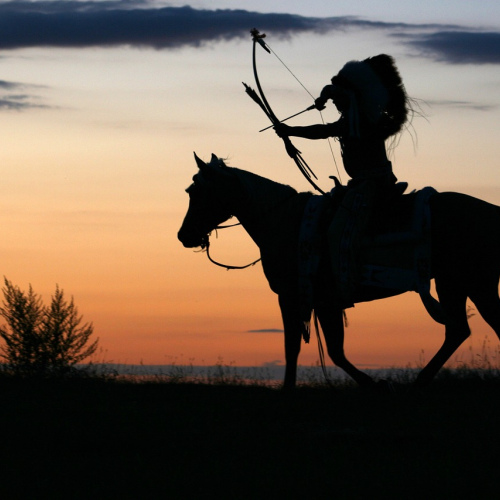 Equestrian Training Whip